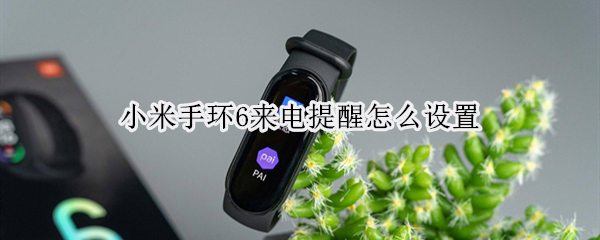 小米手环6来电提醒怎么设置（小米手环6来电提醒怎么设置的）