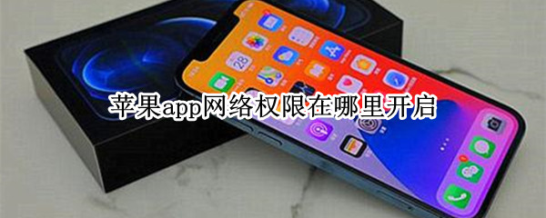 苹果app网络权限在哪里开启 苹果app网络权限在哪里打开