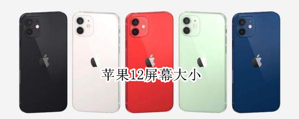苹果12屏幕大小（苹果手机屏幕时间大小怎么调）