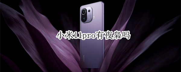 小米11pro有夜枭吗（小米11有夜枭算法吗）