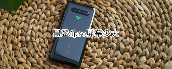 黑鲨4pro屏幕多大（黑鲨4spro屏幕多大）