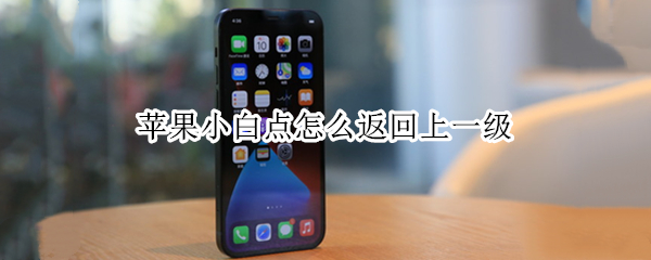 苹果小白点怎么返回上一级（苹果13怎么设置右滑返回）
