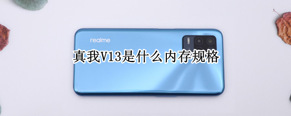 真我V13是什么内存规格（真我v13是什么处理器）