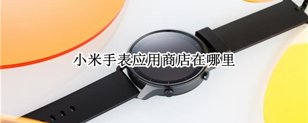 小米手表应用商店在哪里（小米智能手表应用商店在哪）
