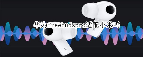 华为freebudspro适配小米吗（华为freebuds pro适配小米吗）