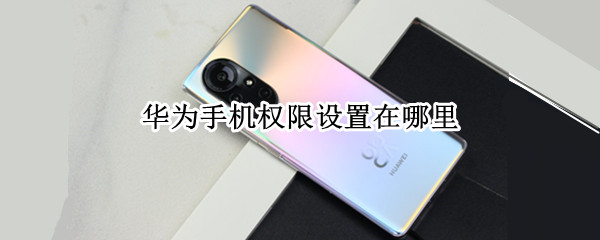 华为手机权限设置在哪里（华为手机权限设置在哪里打开）