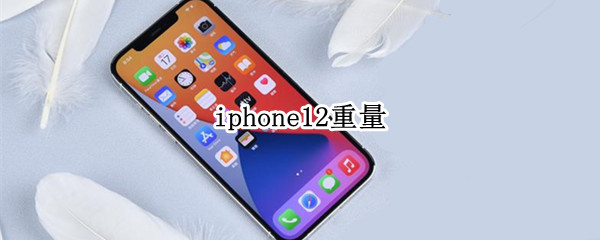 iphone12重量 iphone13重量