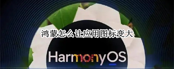 鸿蒙怎么让应用图标变大（鸿蒙怎么让应用图标变大）