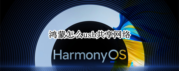 鸿蒙怎么usb共享网络（鸿蒙怎么usb共享网络密码）