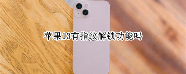 苹果13有指纹解锁功能吗（苹果14有指纹解锁功能吗）