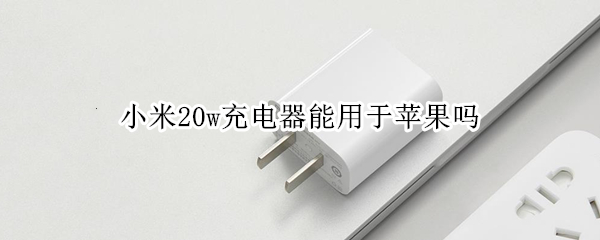 小米20w充电器能用于苹果吗（小米20w充电器和苹果20w区别）