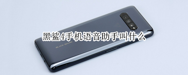 黑鲨4手机语音助手叫什么 黑鲨4手机语音助手叫什么来着