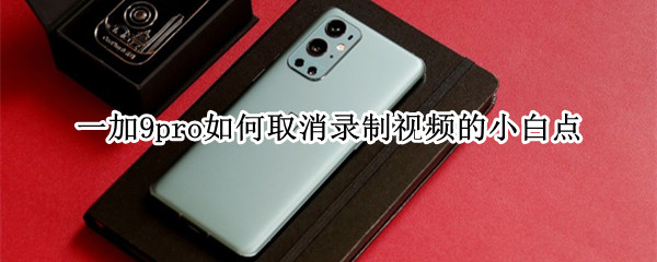 一加9pro如何取消录制视频的小白点 一加屏幕录制怎么关闭