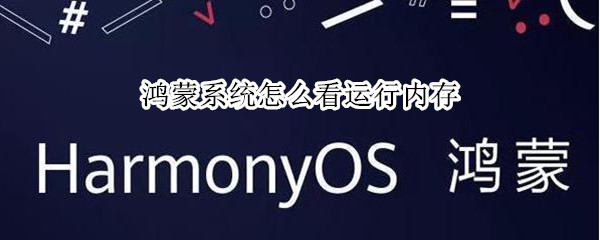 鸿蒙系统怎么看运行内存（鸿蒙系统怎么看运行内存多大）