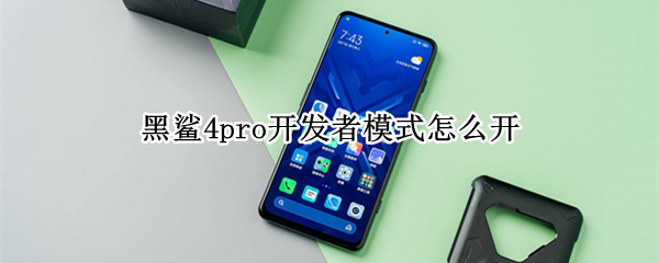 黑鲨4pro开发者模式怎么开（黑鲨4pro开发者模式怎么开关）