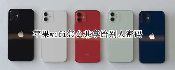 苹果wifi怎么共享给别人密码（苹果wifi密码如何共享给别人）