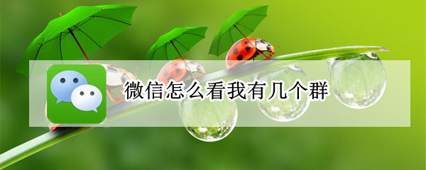 微信怎么看我有几个群（怎么看微信自己有几个群）