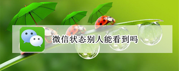 微信状态别人能看到吗（设置微信状态别人能看到吗）