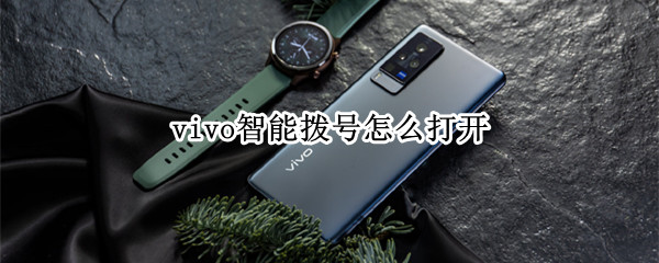 vivo智能拨号怎么打开（vivo智能拨号在哪里设置方法）