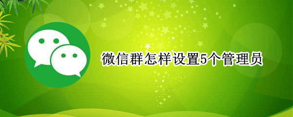微信群怎样设置5个管理员（微信群管理员可以设置几个管理员）