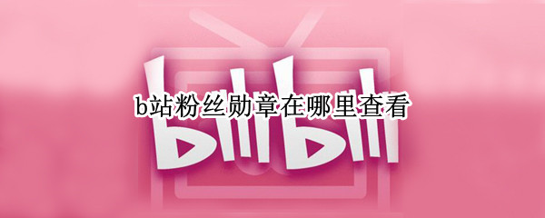 b站粉丝勋章在哪里查看 b站粉丝勋章在哪里查看手机