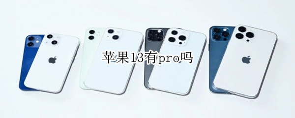苹果13有pro吗（苹果13有pro嘛）