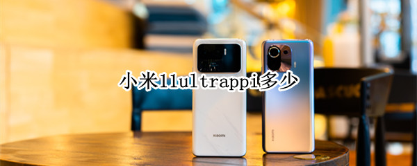 小米11ultrappi多少（小米11ultra 234g）