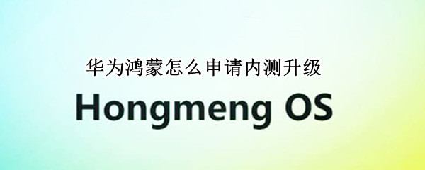 华为鸿蒙怎么申请内测升级 华为鸿蒙内测通过后怎么升级