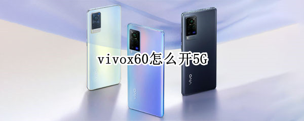 vivox60怎么开5G vivox60怎么开启sa模式