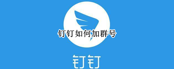 钉钉如何加群号（钉钉上怎么加群号）