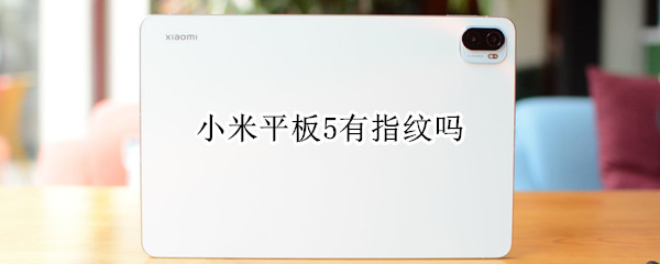 小米平板5有指纹吗 小米平板5有指纹吗解锁在哪