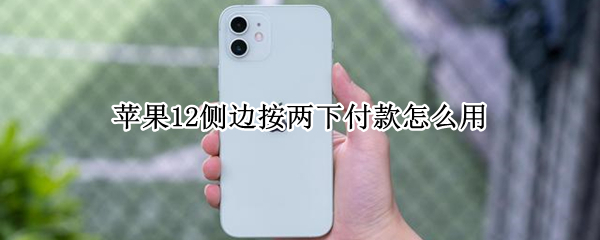 苹果12侧边按两下付款怎么用（苹果12侧边按钮支付）