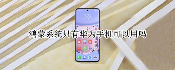鸿蒙系统只有华为手机可以用吗（鸿蒙系统现在只有华为能用吗）