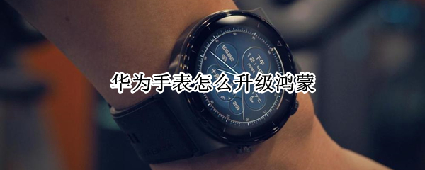 华为手表怎么升级鸿蒙 华为手表升级鸿蒙3