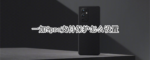 一加9pro支付保护怎么设置（一加手机支付保护）