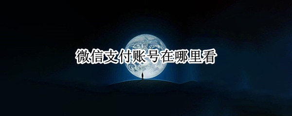 微信支付账号在哪里看（微信的支付账号在哪里找到）