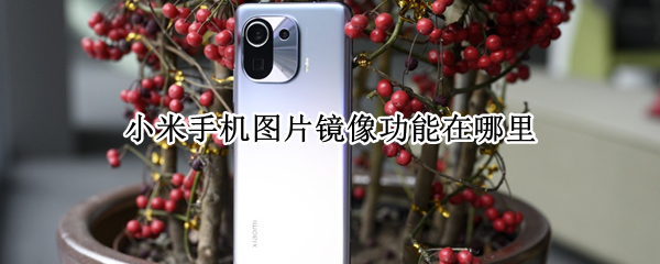 小米手机图片镜像功能在哪里（小米手机图片镜像功能在哪里设置）
