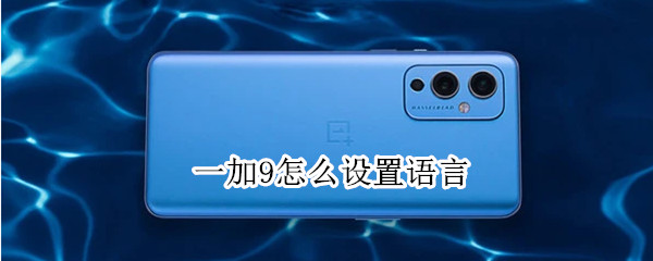一加9怎么设置语言 一加9怎么设置语言切换