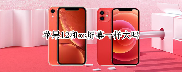 苹果12和xr屏幕一样大吗（苹果12和xr屏幕一样大吗知乎）