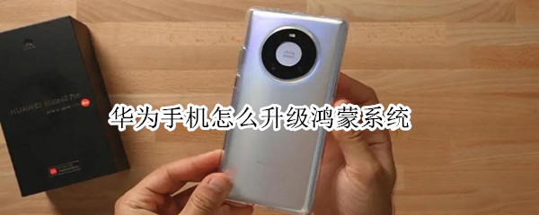 华为手机怎么升级鸿蒙系统（华为手机怎么升级鸿蒙系统更新）