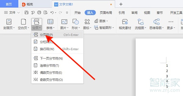 wps分页符怎么加入
