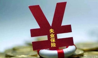 领失业补助金还能上社保吗（领失业补助金还能上社保吗怎么办）