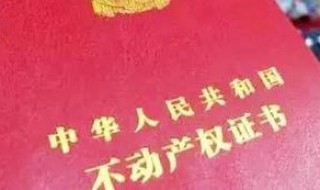 不动产证怎么办理（自建房不动产证怎么办理）