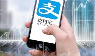 怎么查社保编号 怎么查社保编号苏州