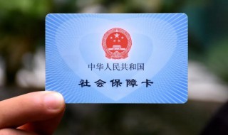 怎么查个人社保编号 怎么查个人社保编号10位数