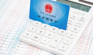 社保号怎么查