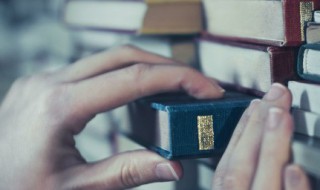 什么是稳就业保就业 稳就业和保就业的关系