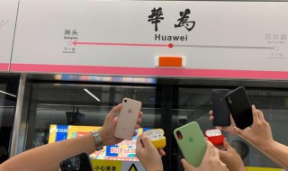 深圳华为地铁站是几号线（深圳华为地铁站是几号线到达）