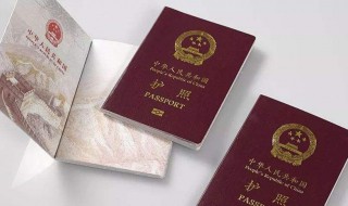 在国外护照丢了怎么办 在国外护照丢了怎么办理工作签证