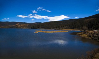 香格里拉在哪（济南的香格里拉在哪）